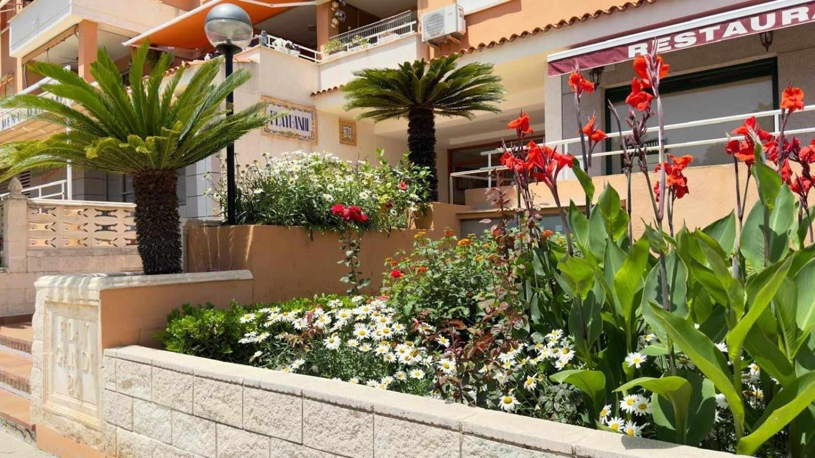 Apartamento Paradise Solo Familias Gandia Ngoại thất bức ảnh