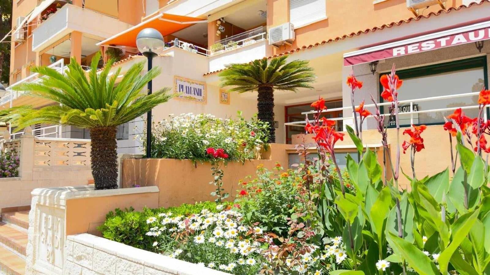 Apartamento Paradise Solo Familias Gandia Ngoại thất bức ảnh